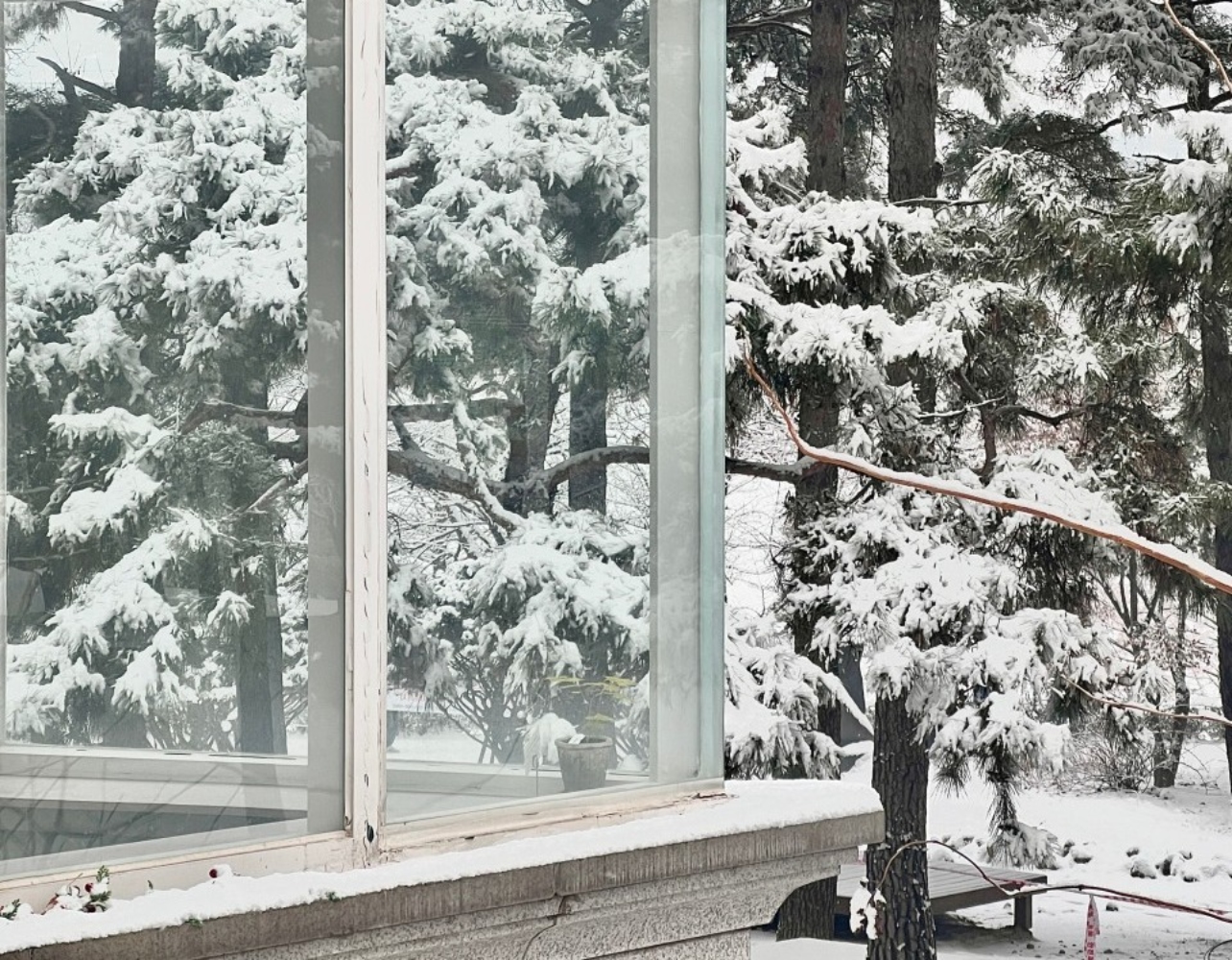 눈 오는 날 꼭 가보고 싶은 설경뷰 1열 카페