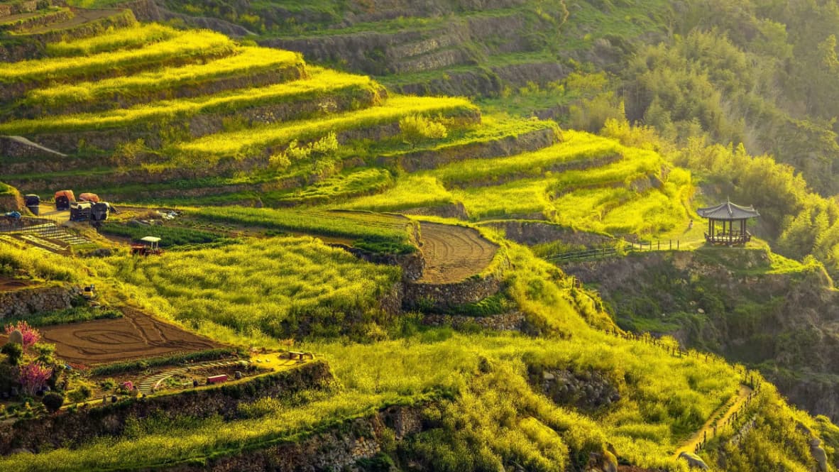 설문 기능 테스트