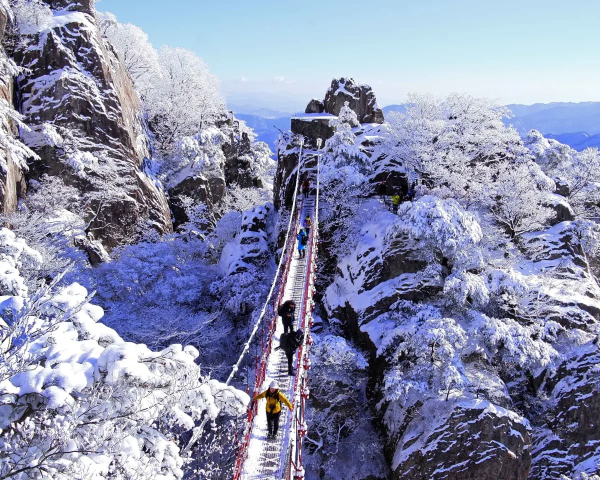 케이블카 타고 만나는 대둔산 설경 기차여행