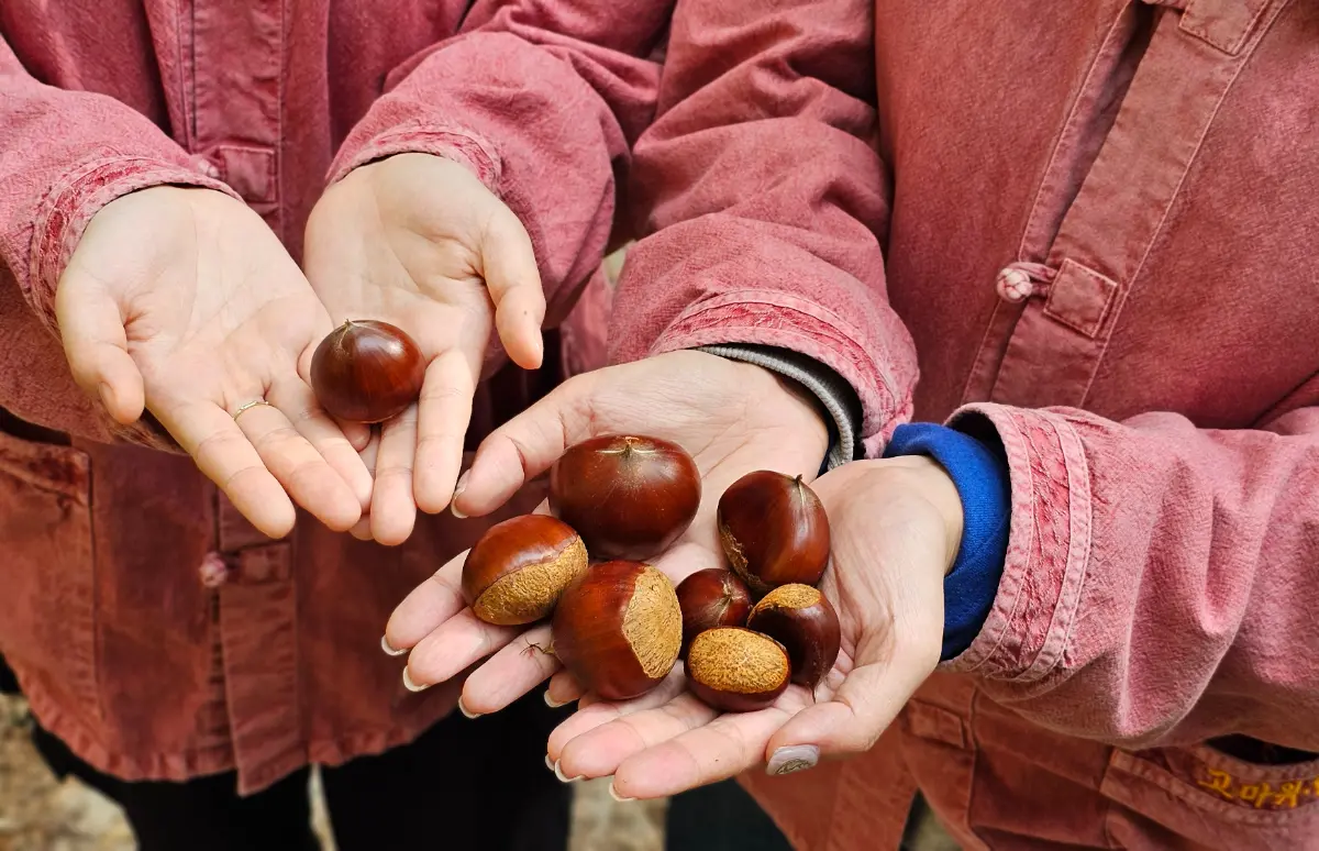 할매, 함양에서 손녀들 잘 쉬다 가요!