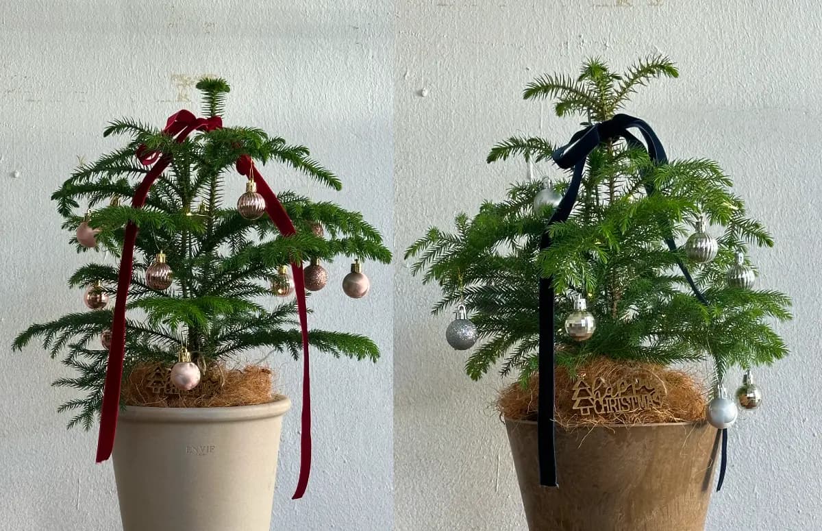 반짝이는 연말, 나만의 트리를 만들어요 🌲