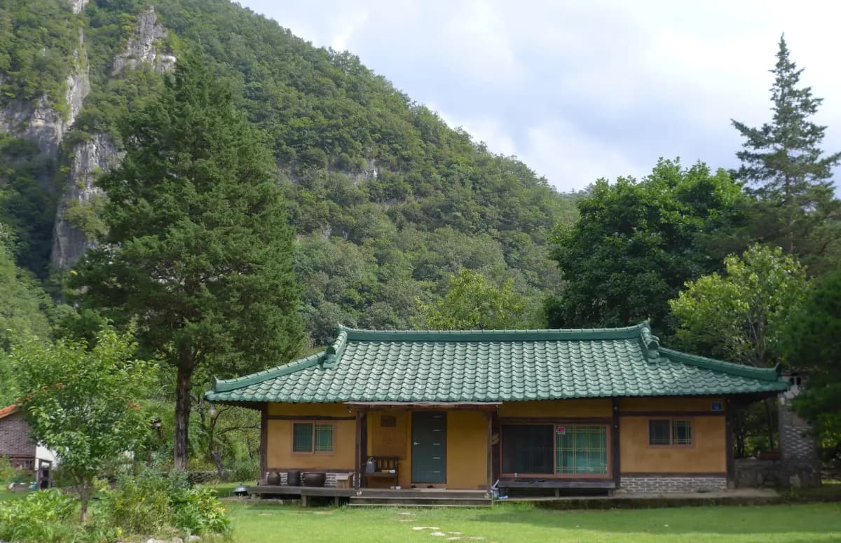 삼시세끼 꽉꽉 배 채우기! 정선 식도락 여행