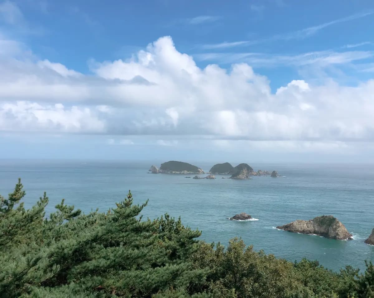 남쪽으로 떠나자! 로컬만 아는 시크릿 투어