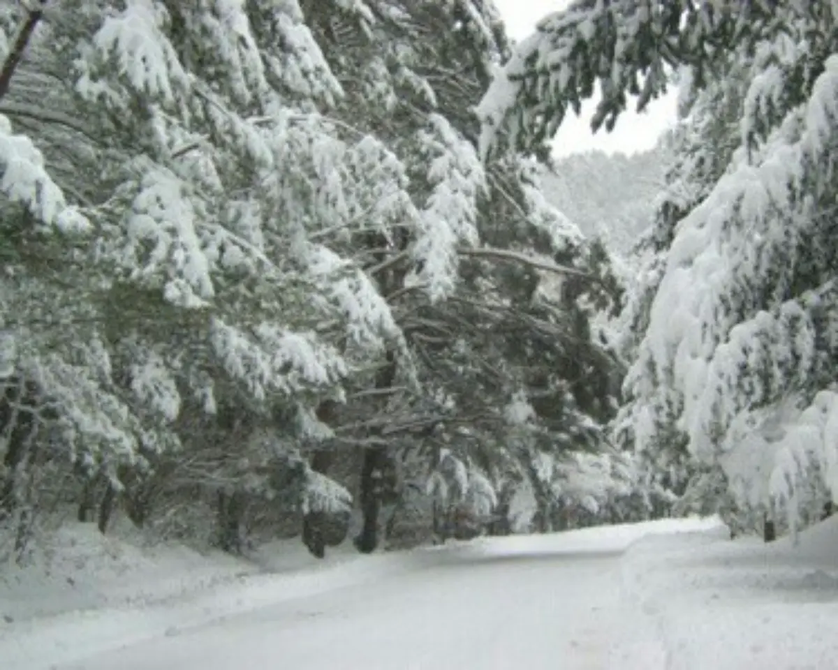 겨울 바다 보러 가자! 당일치기 강릉 기차여행 