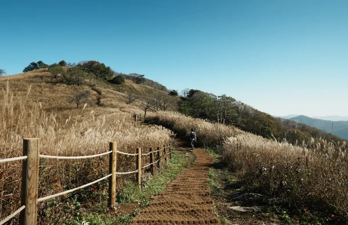 <등산시렁>작가와 함께하는 정선 등산 여행