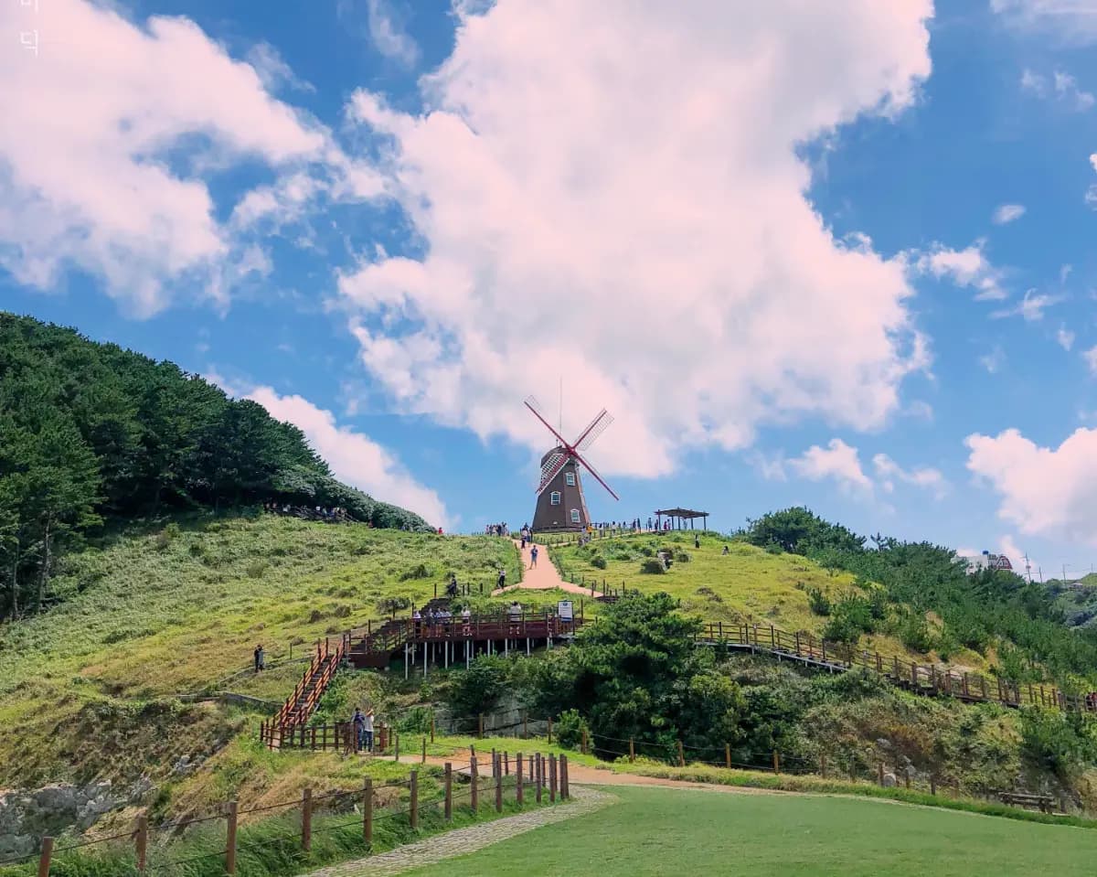 남쪽으로 떠나자! 로컬만 아는 시크릿 투어