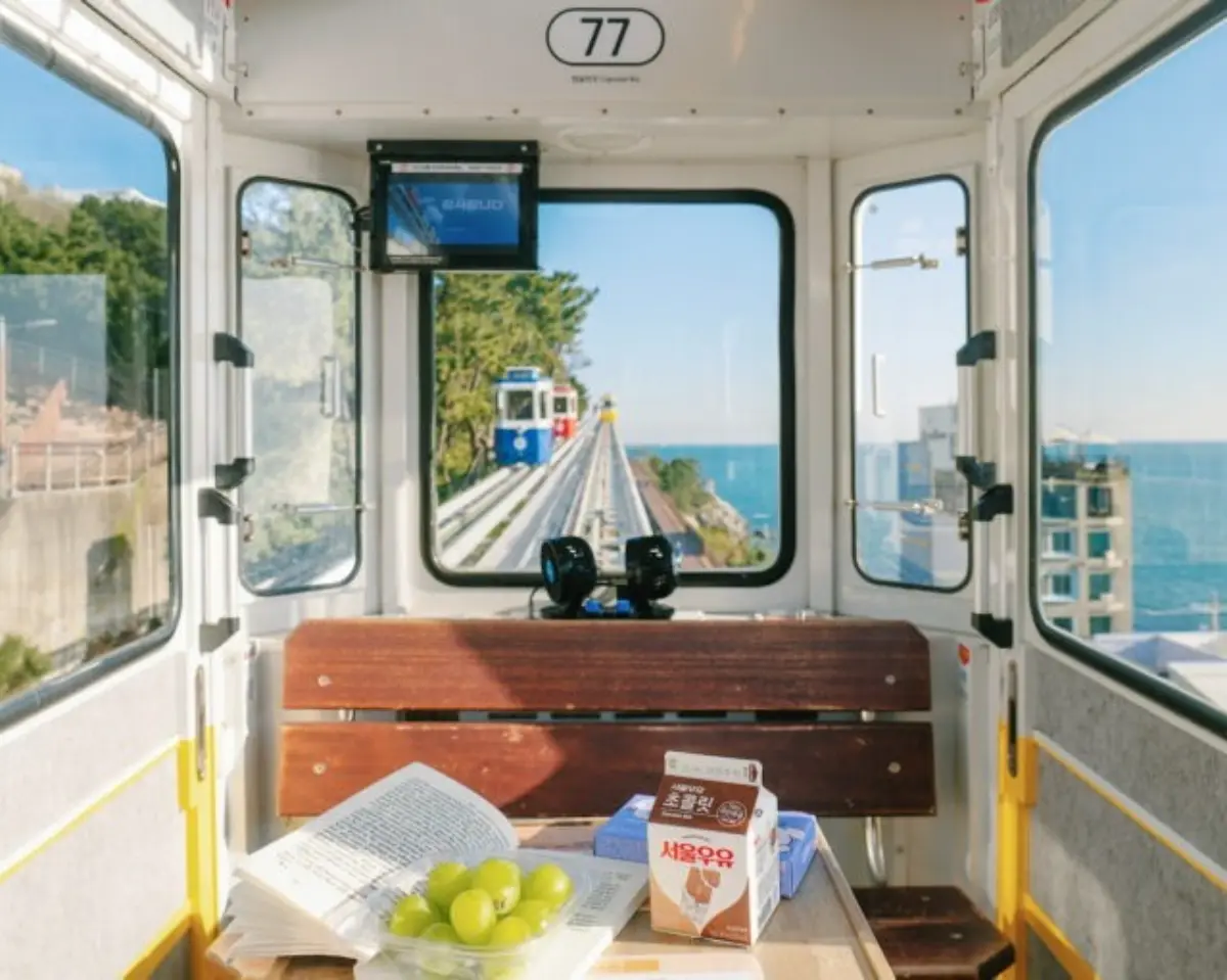 겨울 바다 보러 가자! 당일치기 부산 기차여행 