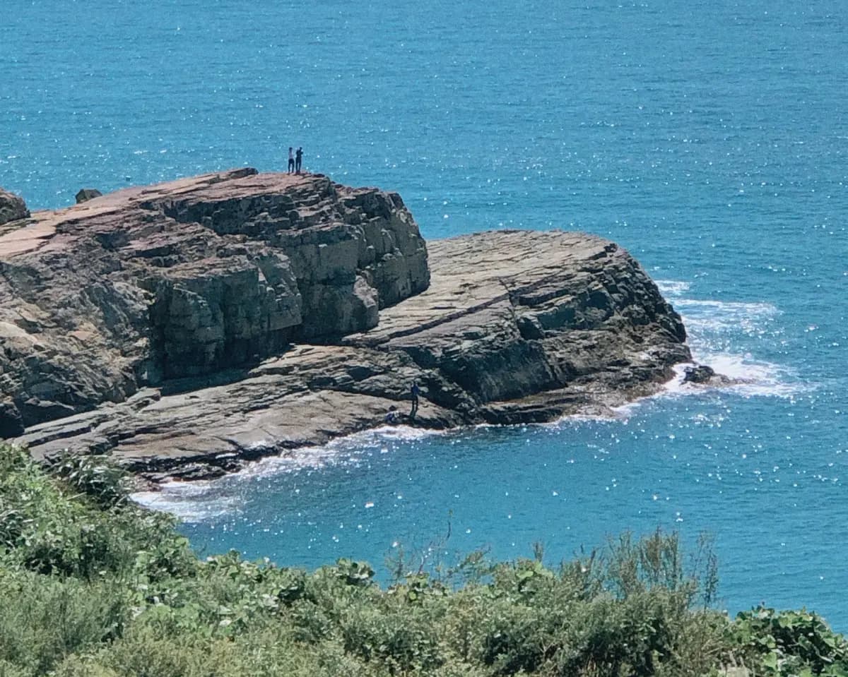 남쪽으로 떠나자! 로컬만 아는 시크릿 투어