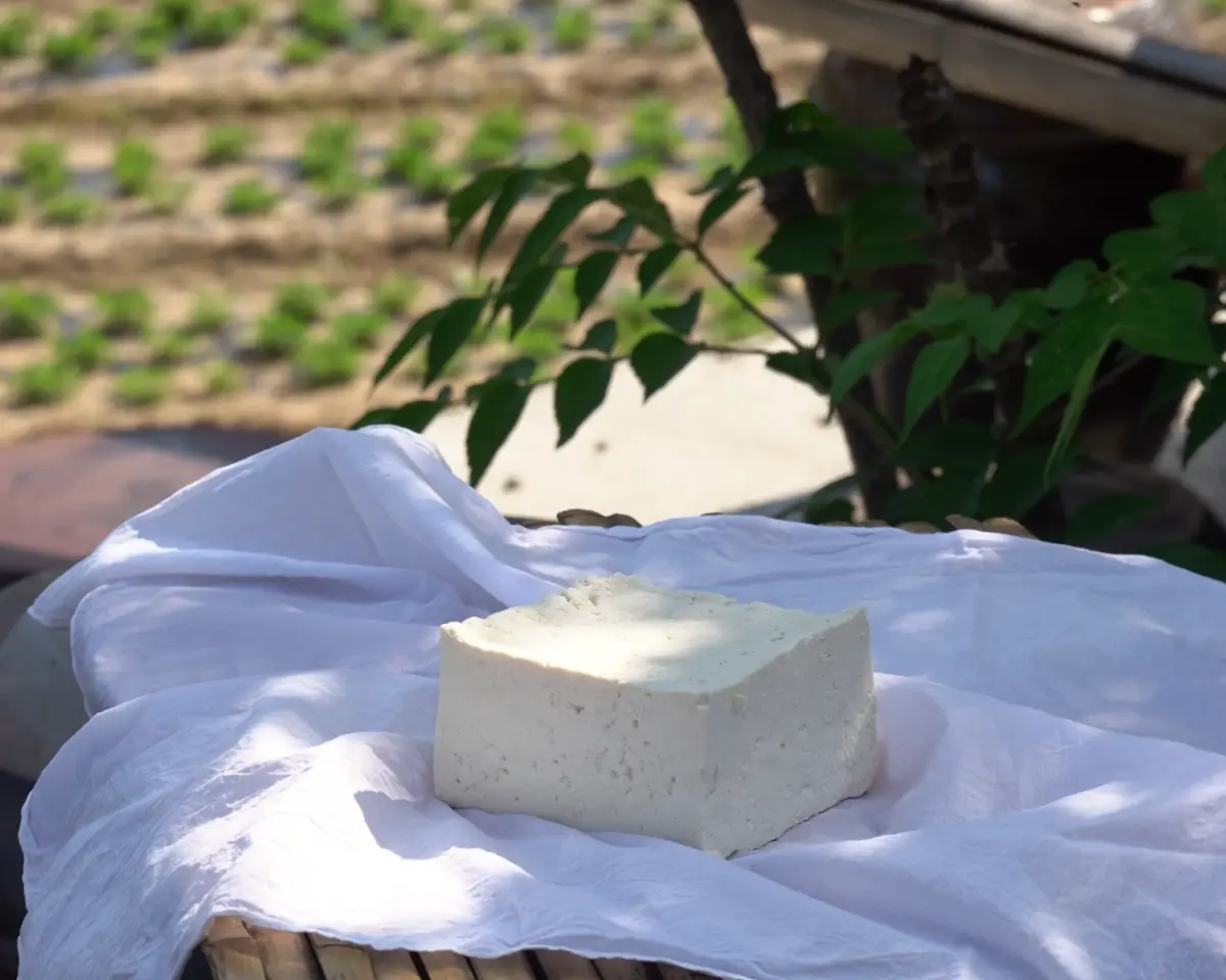 할매, 함양에서 손녀들 잘 쉬다 가요!