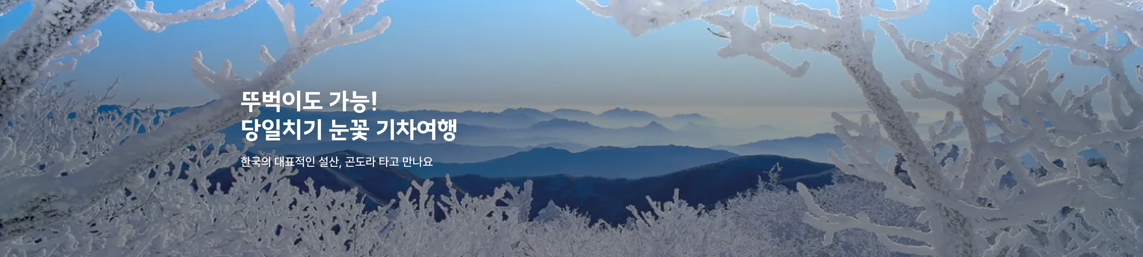 당일치기 눈꽃 설산 기차여행