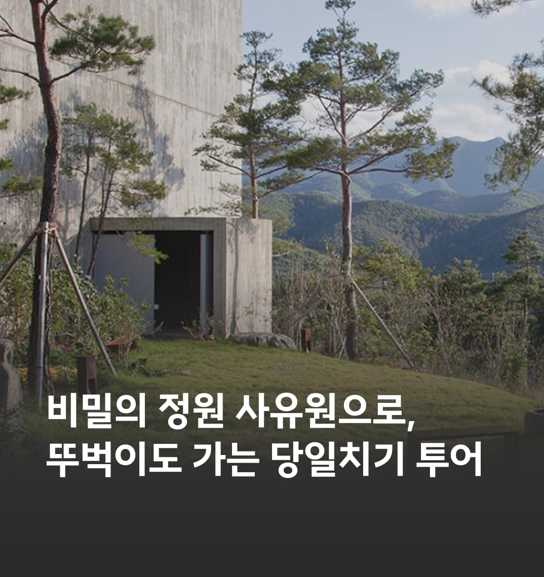 뚜벅이도 이제 갈 수 있어, 대구 사유의 미학 투어