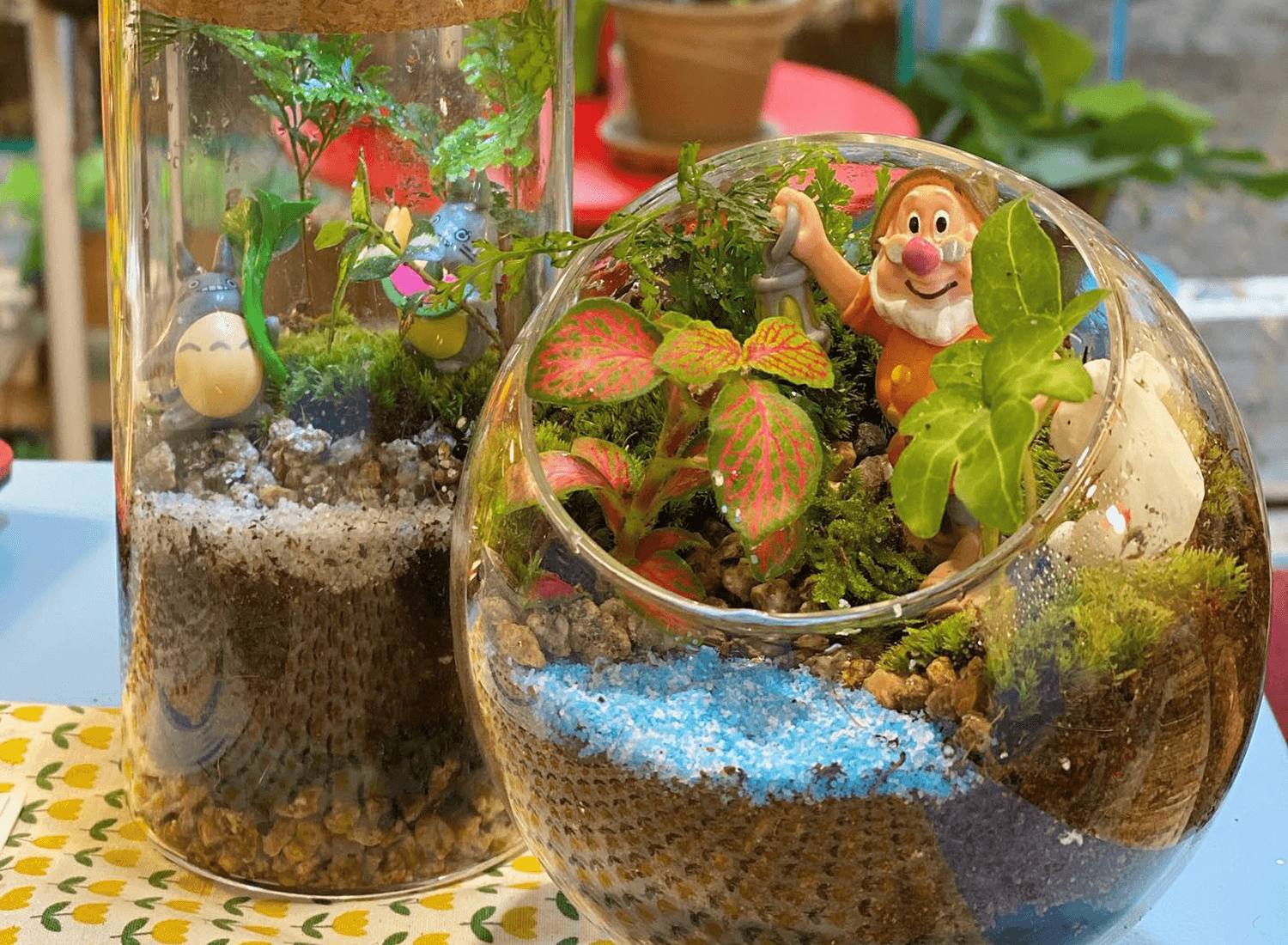 유리병 안 나만의 작은 정원, 테라리움 만들기 