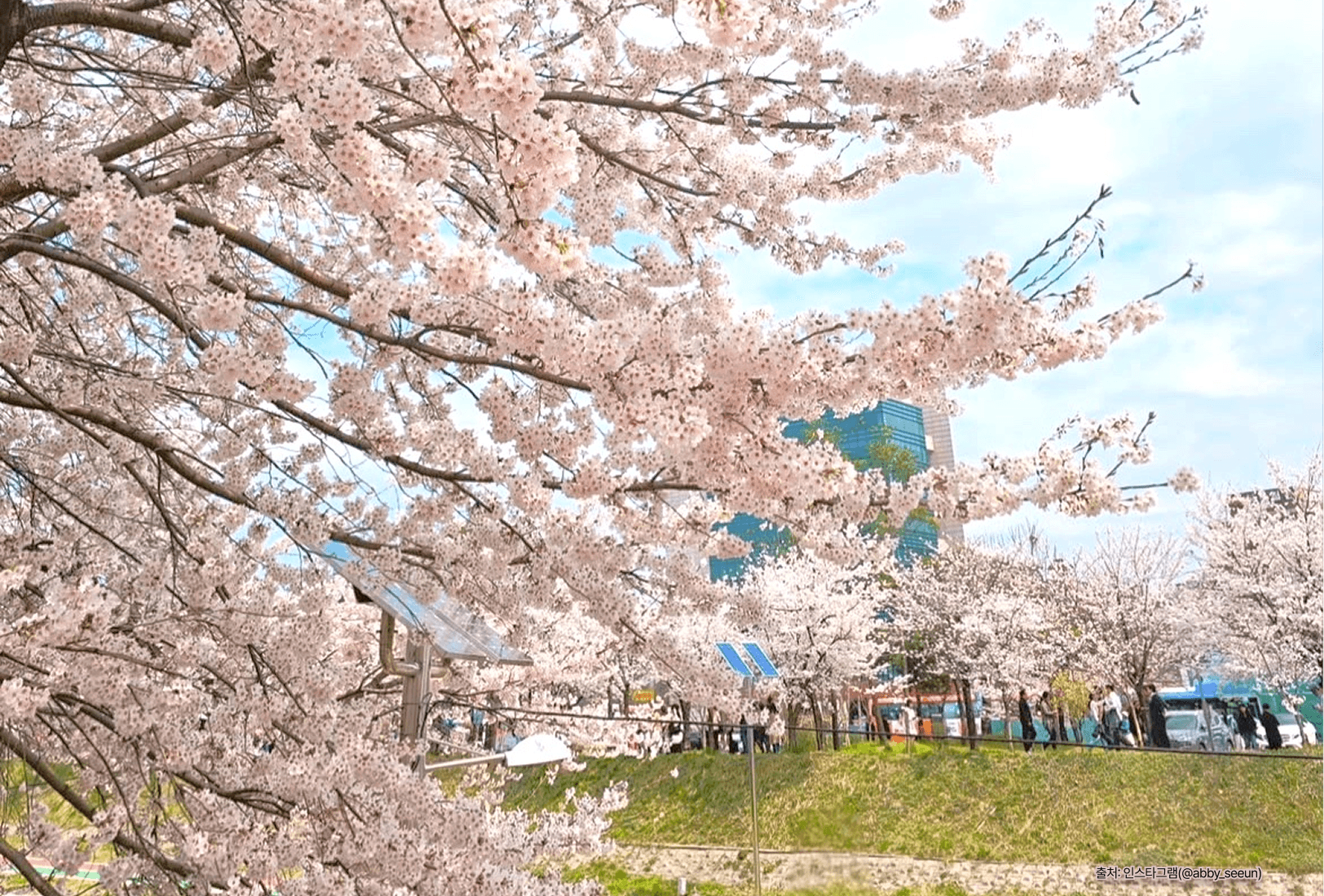 오감으로 느끼는 사계절 티 타임
