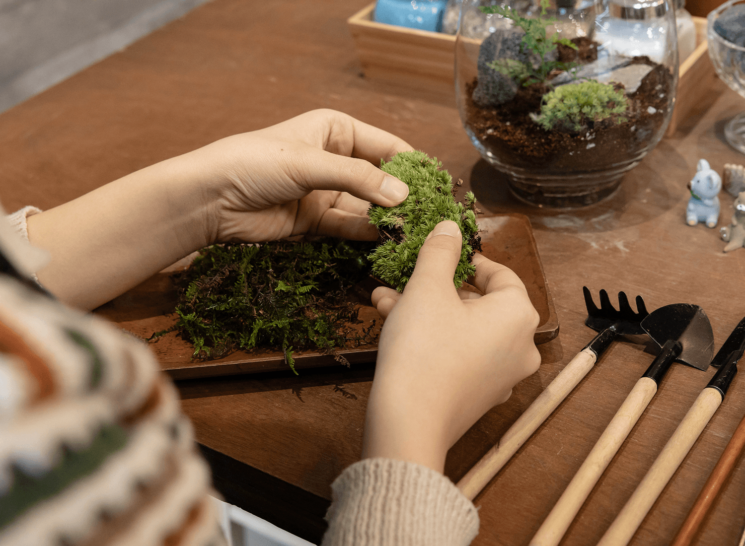 유리병 안 나만의 작은 정원, 테라리움 만들기 