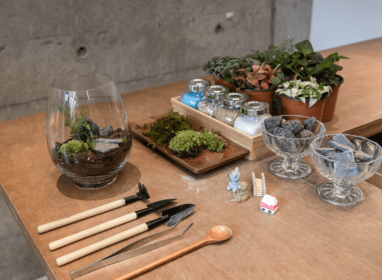 유리병 안 나만의 작은 정원, 테라리움 만들기 