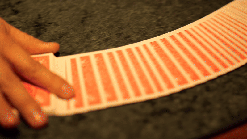 1열 직관! 마법 같은 프라이빗 마술쇼