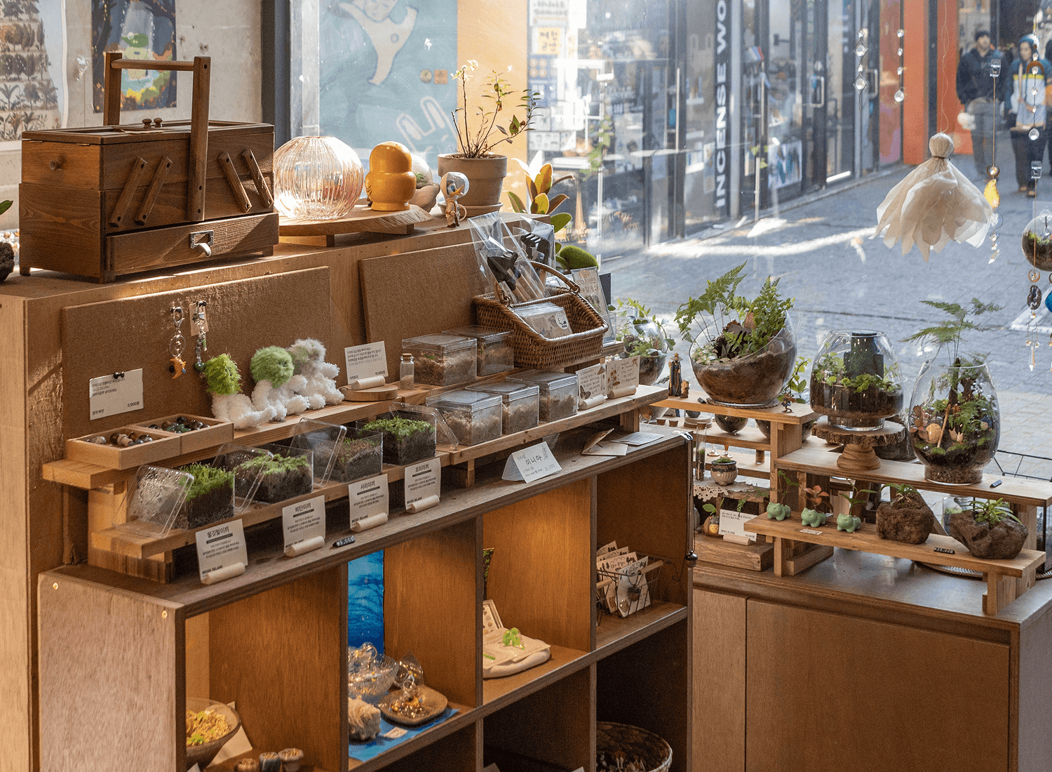 유리병 안 나만의 작은 정원, 테라리움 만들기 